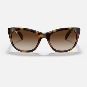 Brown Ray-Ban Sunglasses